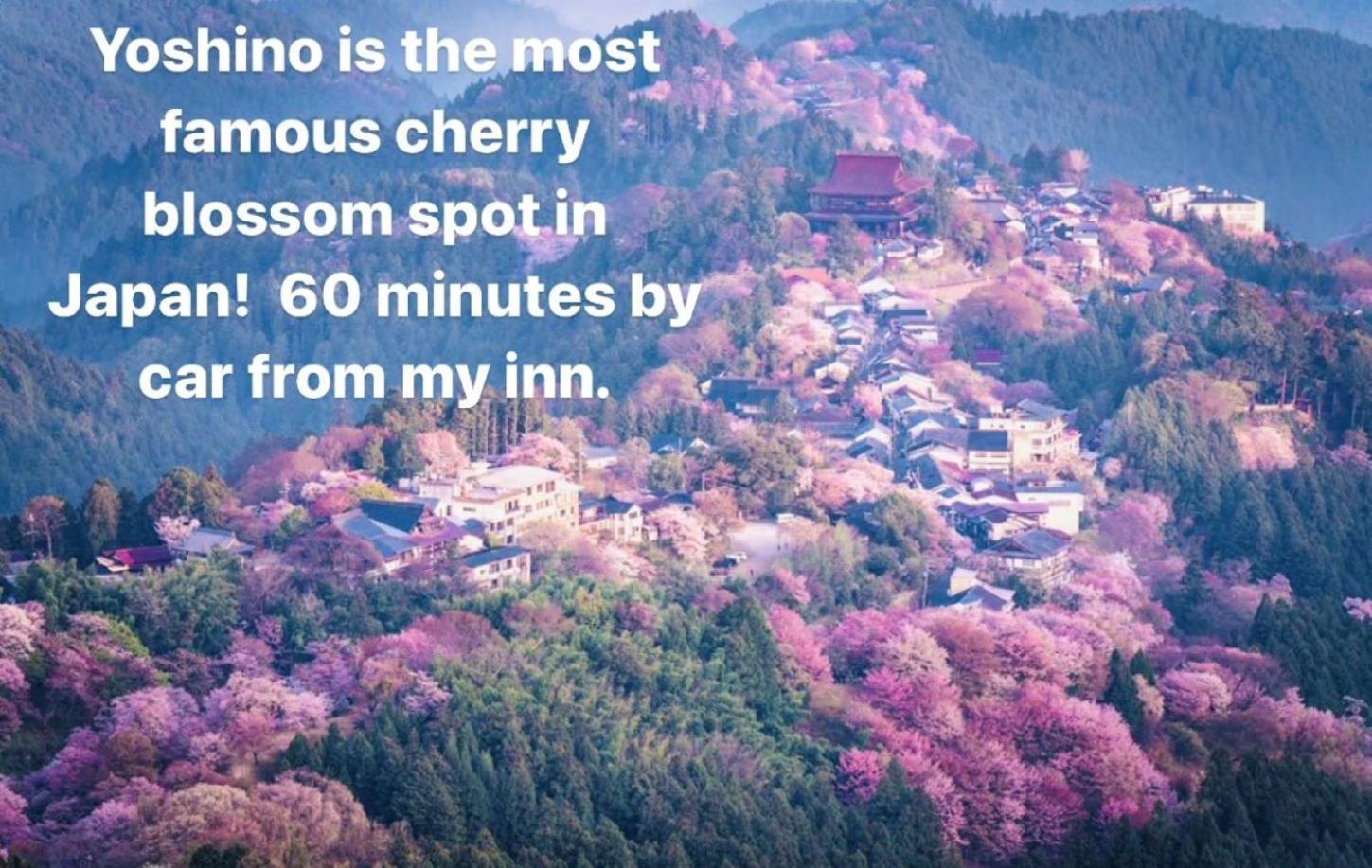 Inn Unkai No Sato No Yado Nosegawa Eksteriør bilde